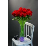 Роза бархатная 10 шт (DFN 056 DG.1.Н)
