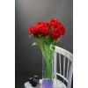 Роза бархатная 10 шт (DFN 056 DG.1.Н)