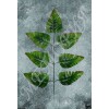 Лист папоротника Орляк тканевый 7 листьев 47 см (542009.1.Н)